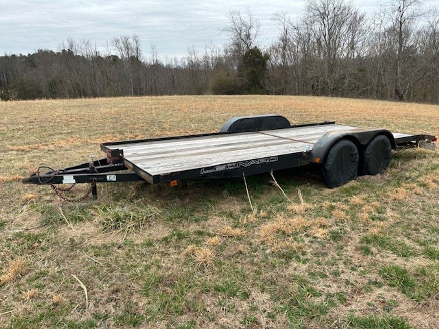 Image for 29 ACRES WITH 4 ACRES OF VINES PLANTED FOR SALE- CHATHAM, VA