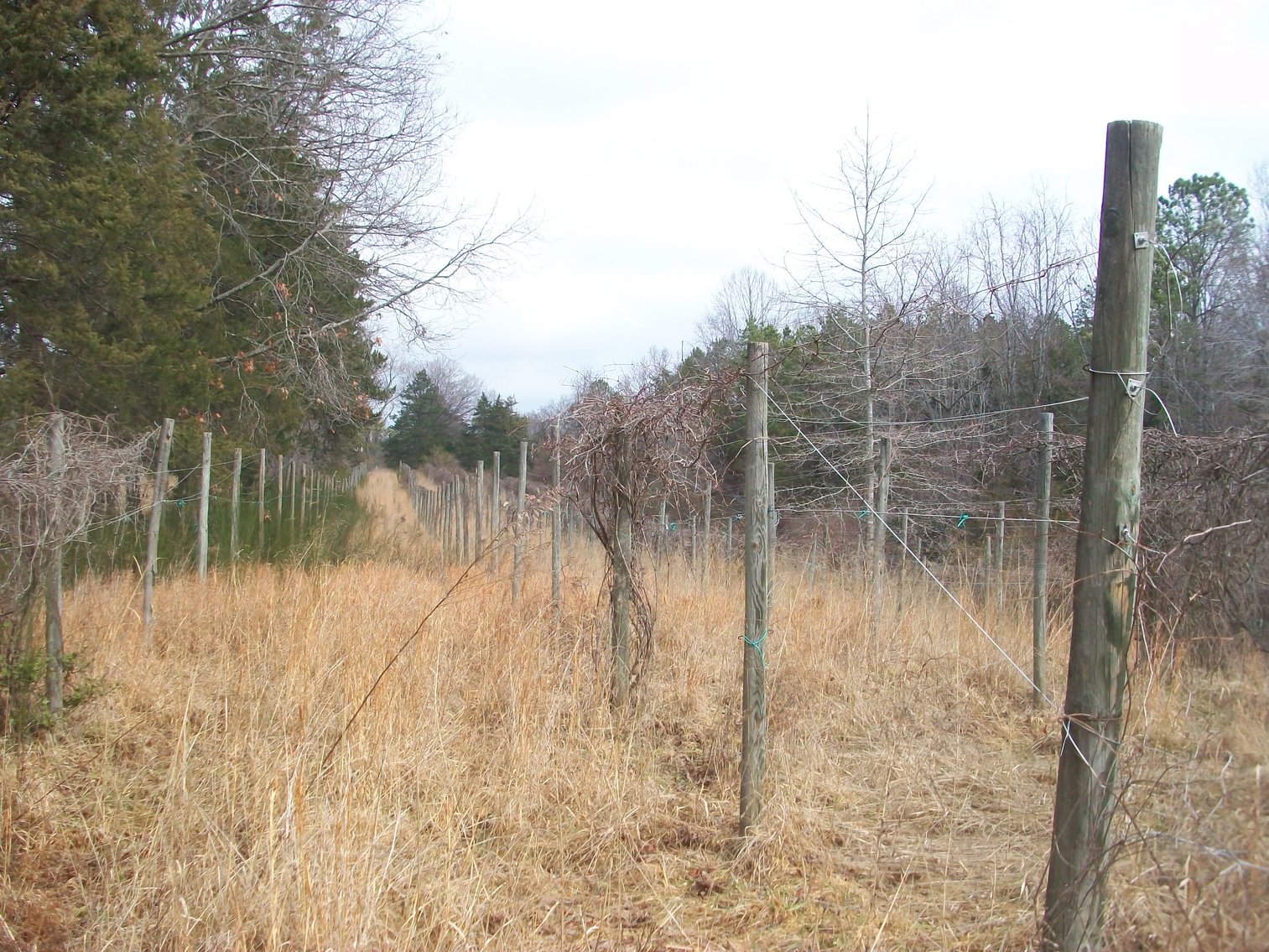 Image for FOR SALE - 55 HIGH MEADOWS LN., SCOTTSVILLE, VA