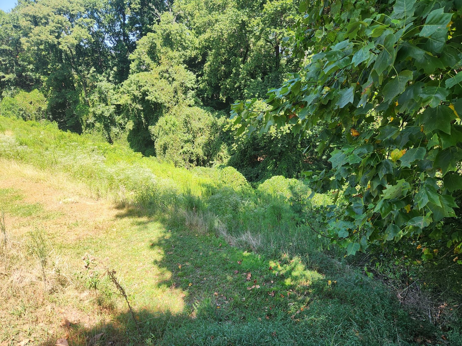 Image for Residential Lot in St. Ives  Country Club