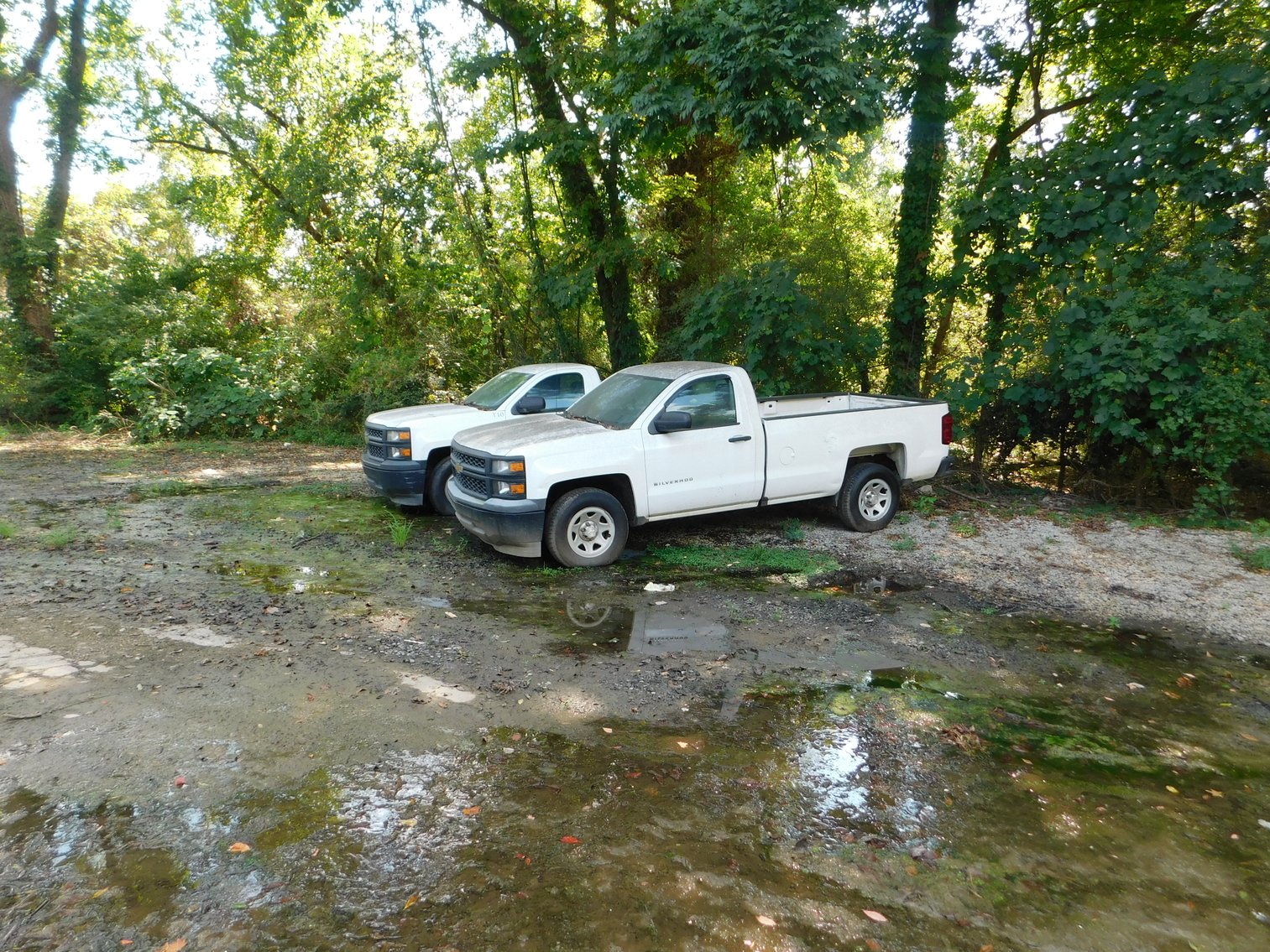 Image for Commercial Assets of Former Landscape Company