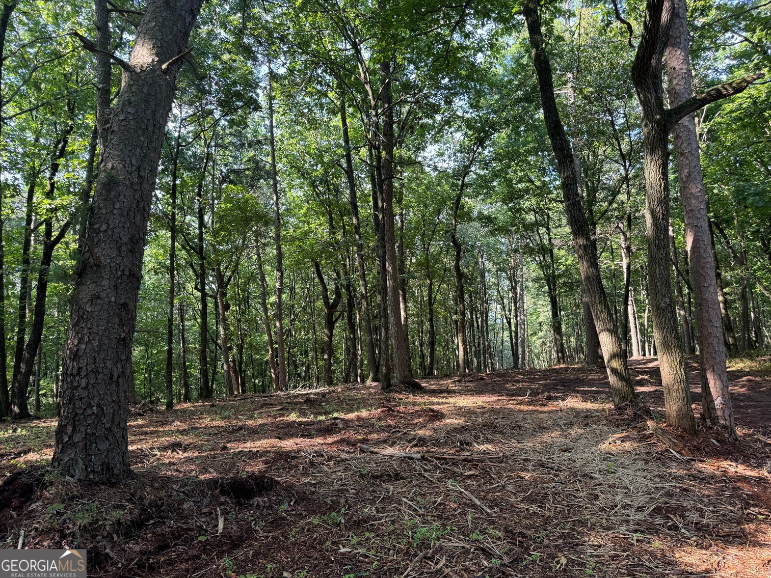 Image for Commercial Mountain Top Acreage in North Georgia