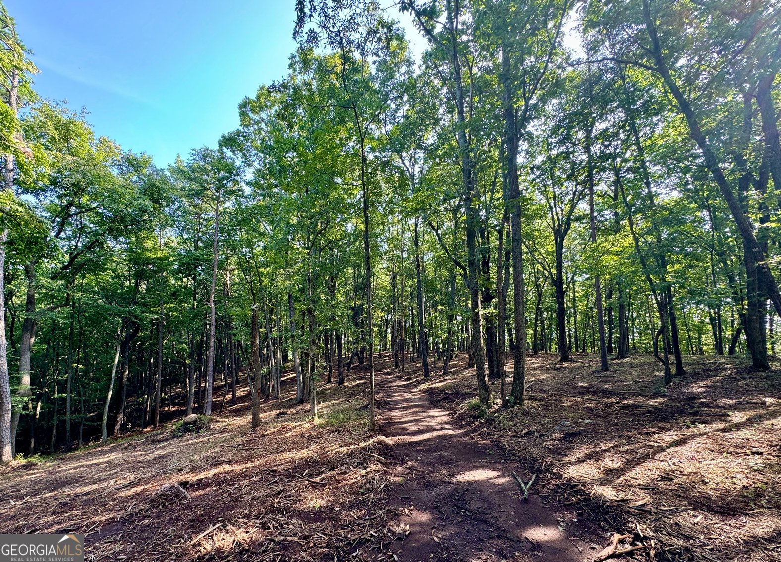 Image for Commercial Mountain Top Acreage in North Georgia