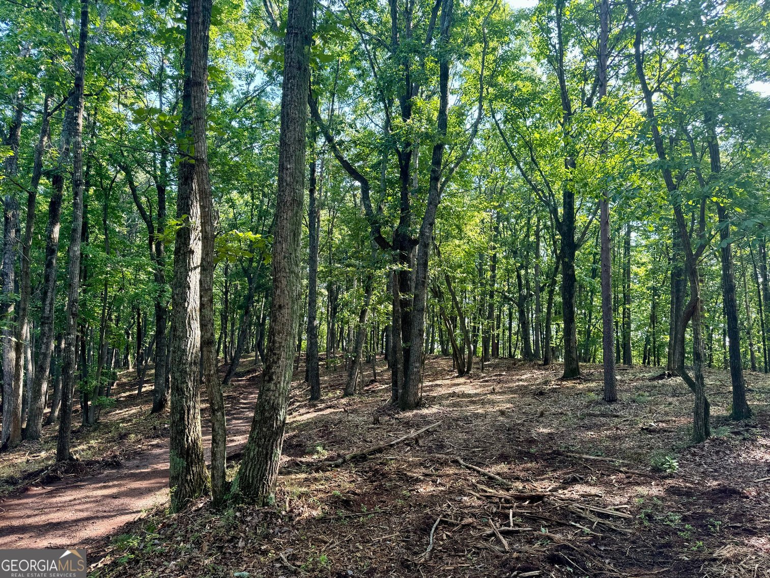 Image for Commercial Mountain Top Acreage in North Georgia