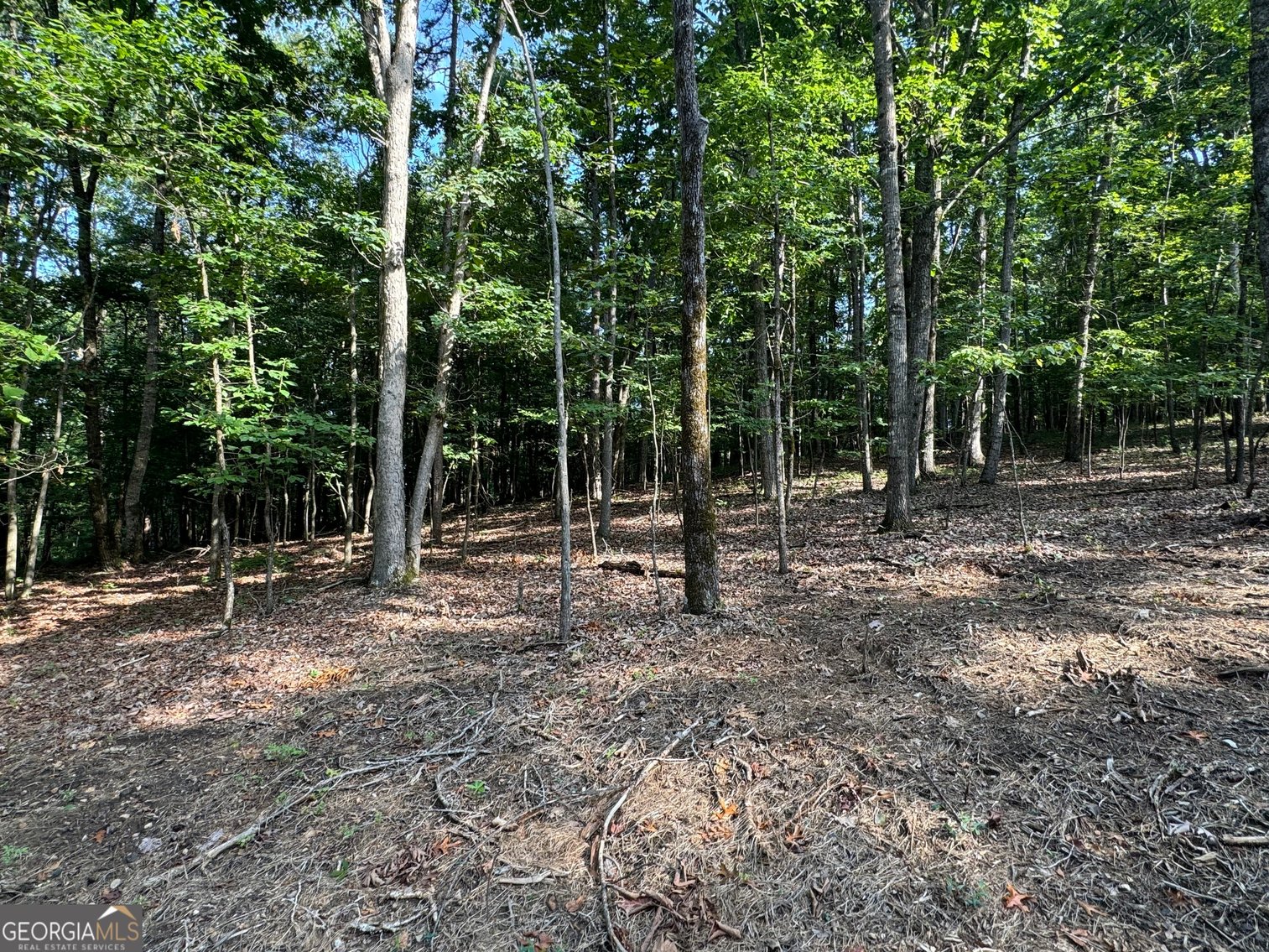 Image for Commercial Mountain Top Acreage in North Georgia