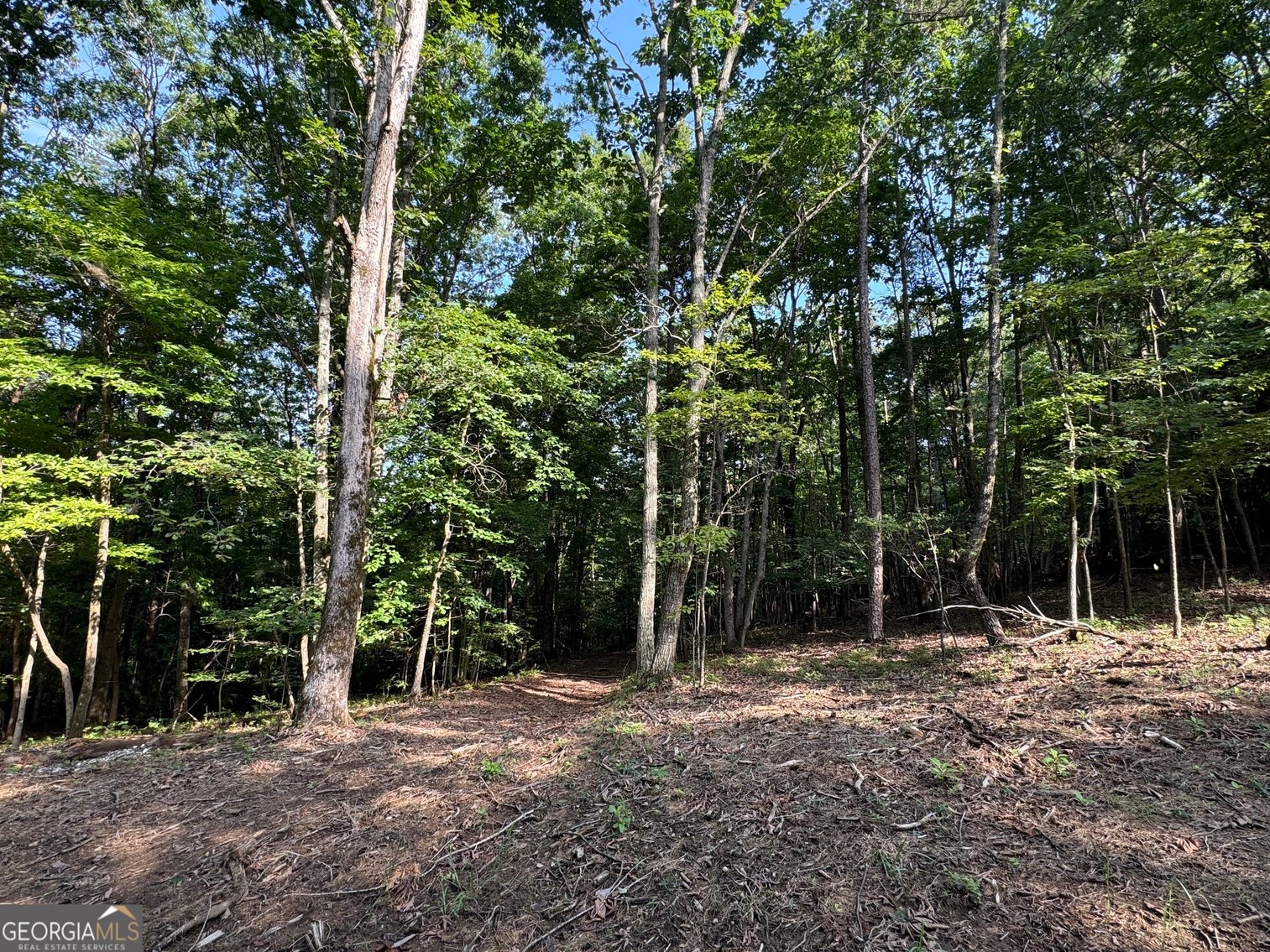 Image for Commercial Mountain Top Acreage in North Georgia