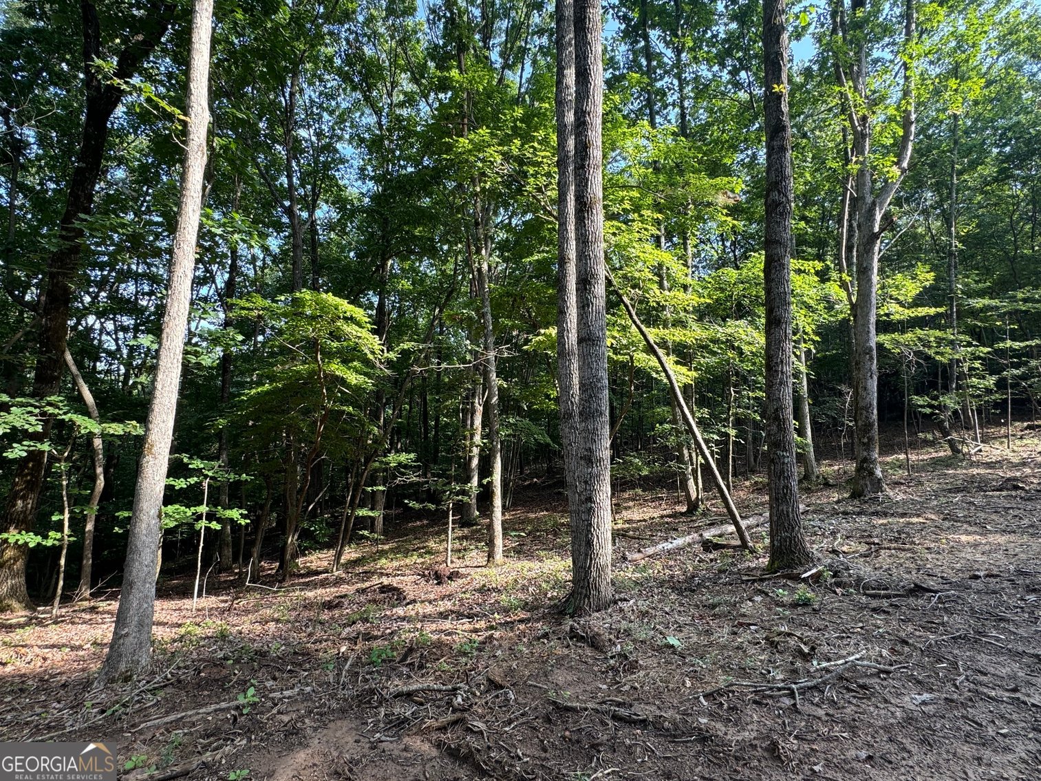 Image for Commercial Mountain Top Acreage in North Georgia