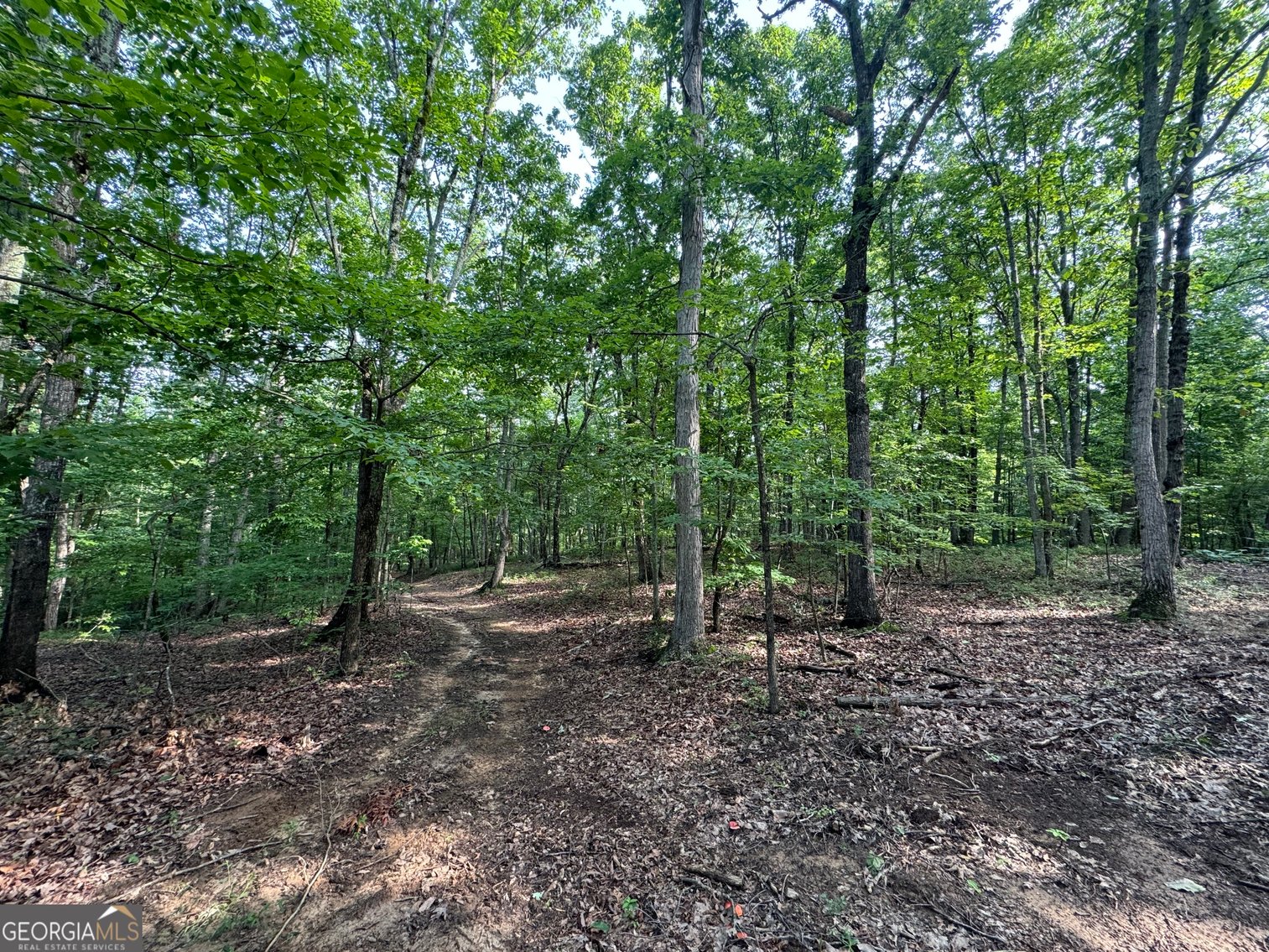 Image for Commercial Mountain Top Acreage in North Georgia