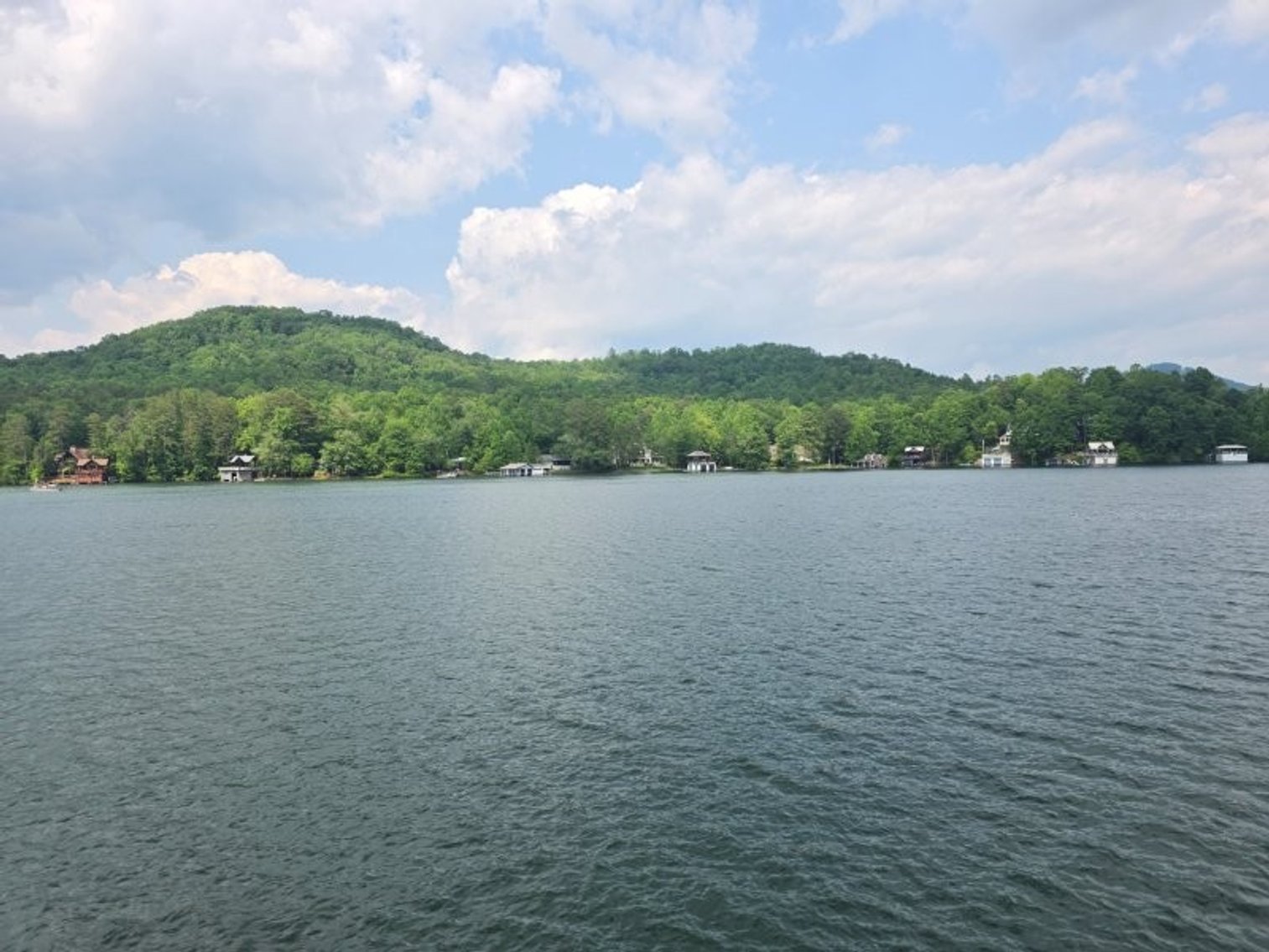 Image for Lake Burton Foreclosure Auction