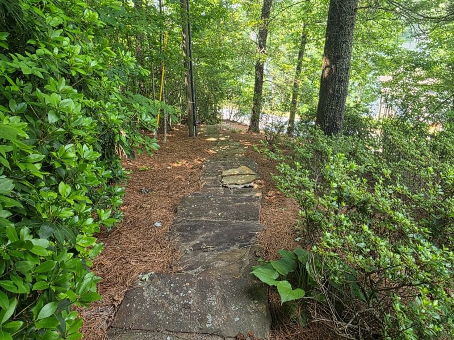 Image for Lake Burton Foreclosure Auction