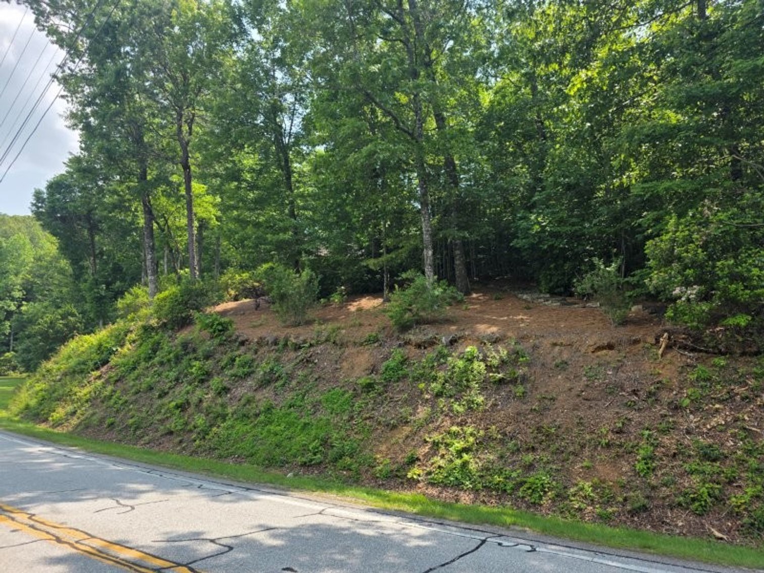 Image for Lake Burton Foreclosure Auction