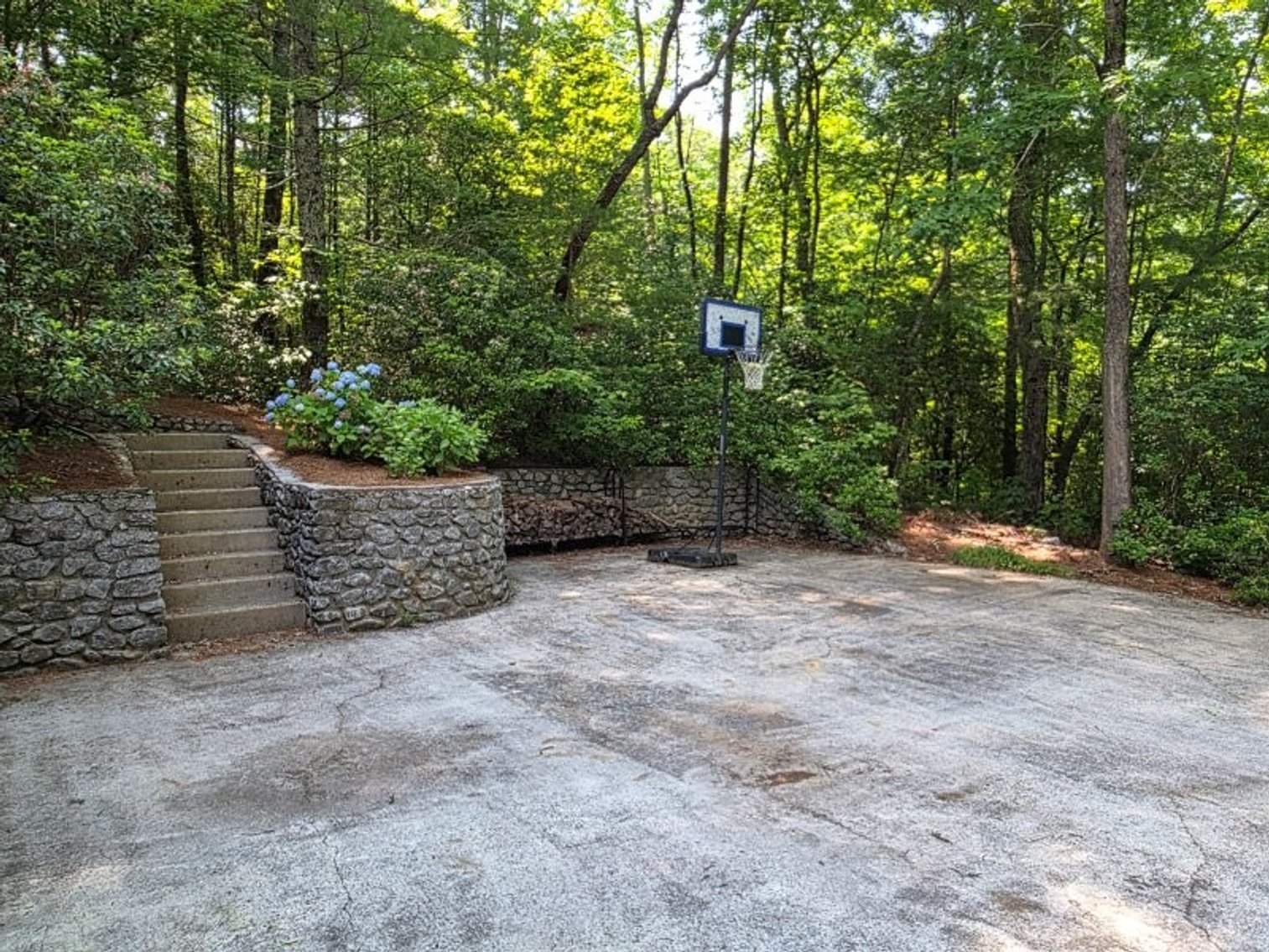 Image for Lake Burton Foreclosure Auction