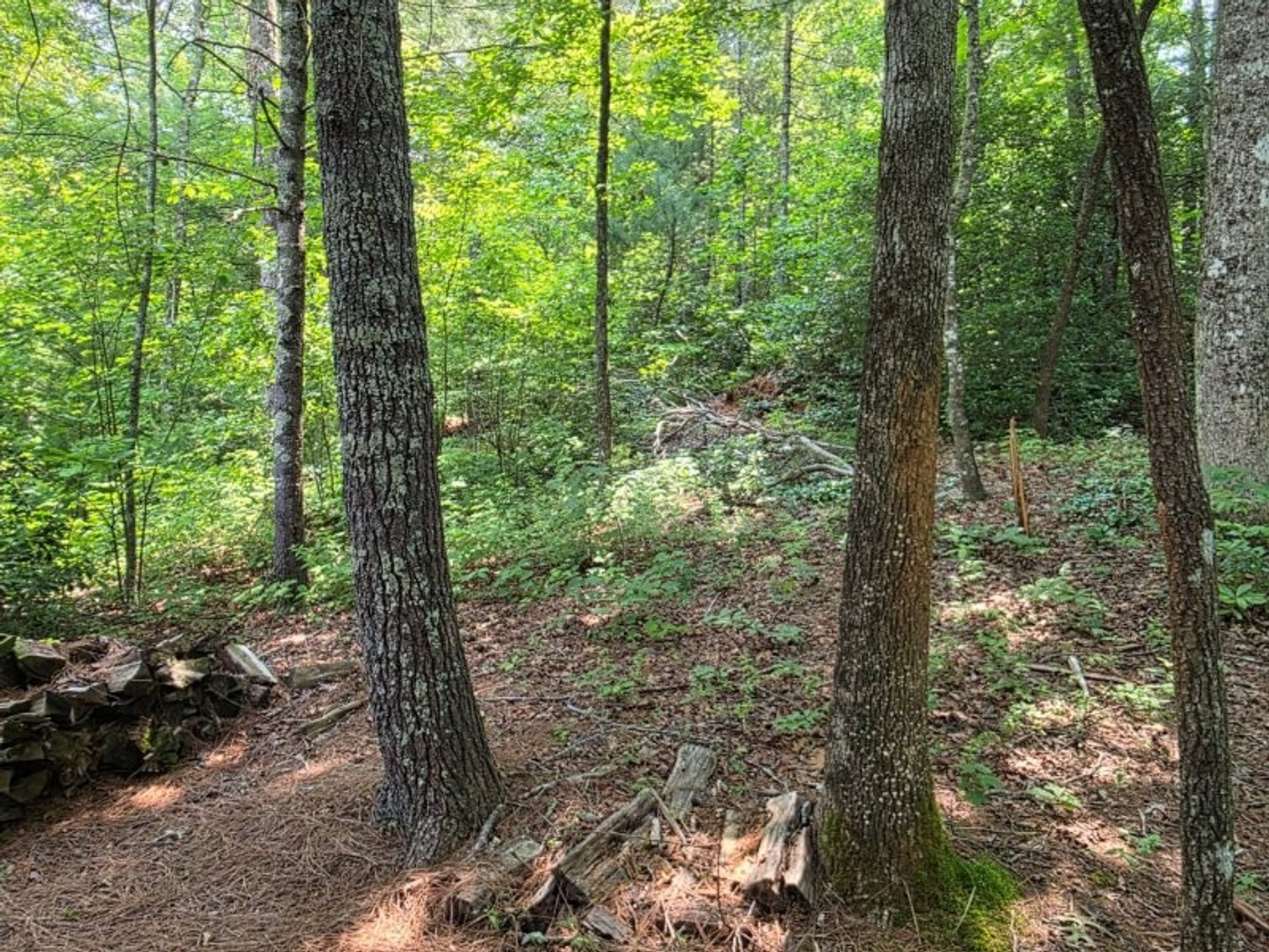 Image for Lake Burton Foreclosure Auction