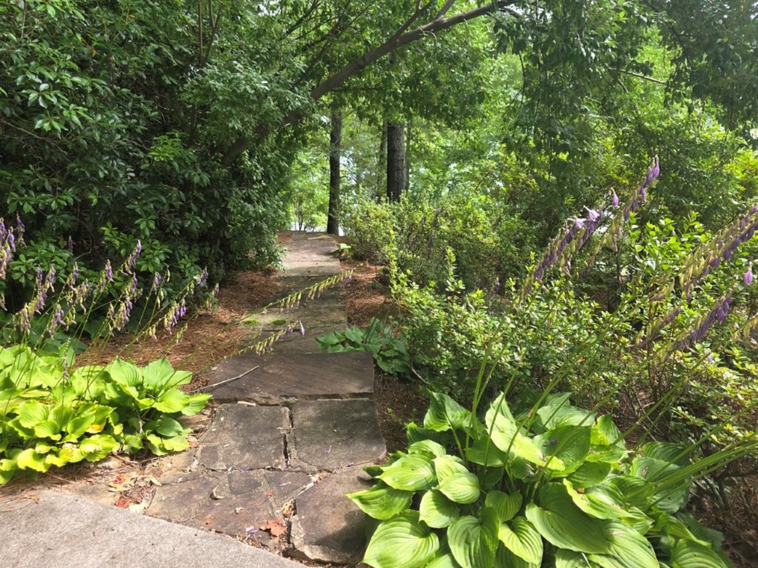 Image for Bank Owned Home w/ Boat House on Lake Burton