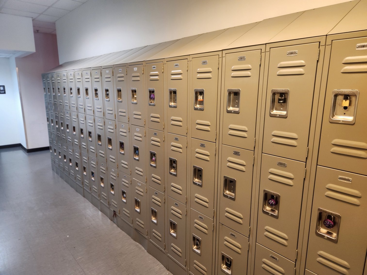 Image for Remaining Assets of Health & Style Institute