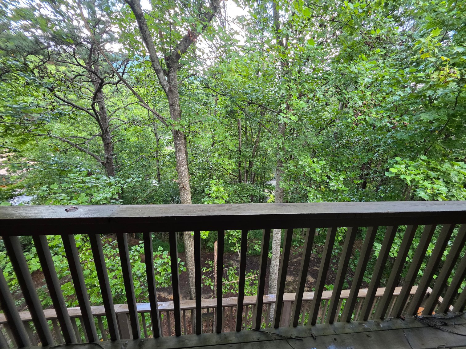 Image for RV Campground & Vacation Cabins Resort in North Georgia Mountains