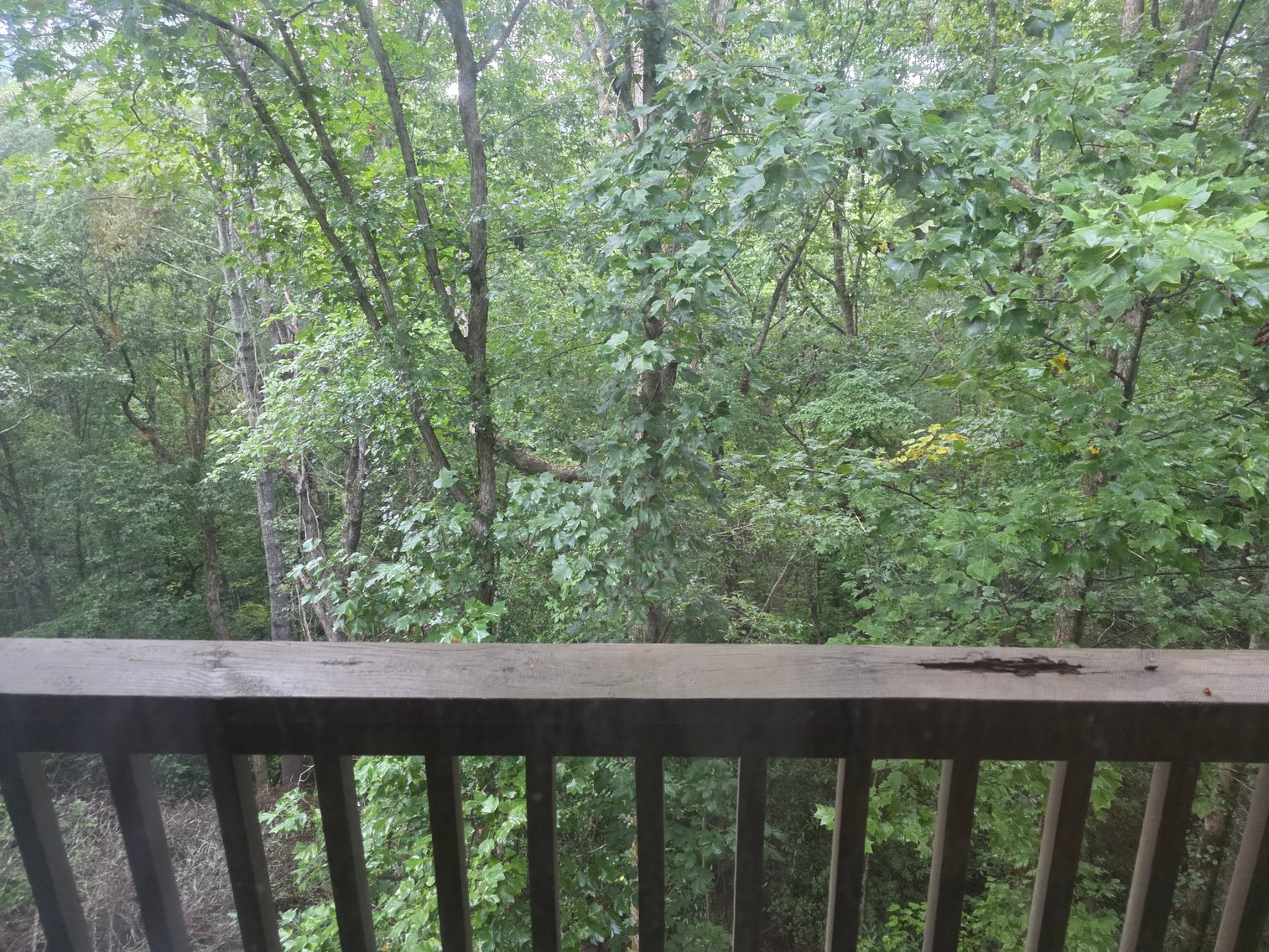 Image for RV Campground & Vacation Cabins Resort in North Georgia Mountains