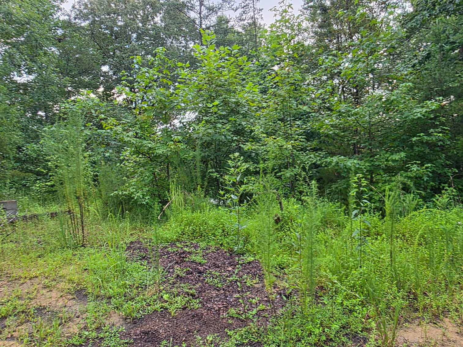 Image for RV Campground & Vacation Cabins Resort in North Georgia Mountains