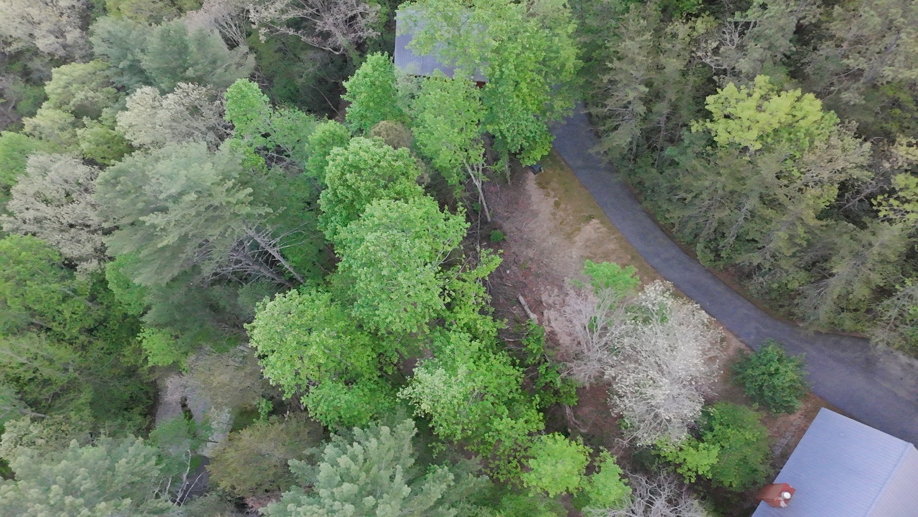 Image for RV Campground & Vacation Cabins Resort in North Georgia Mountains