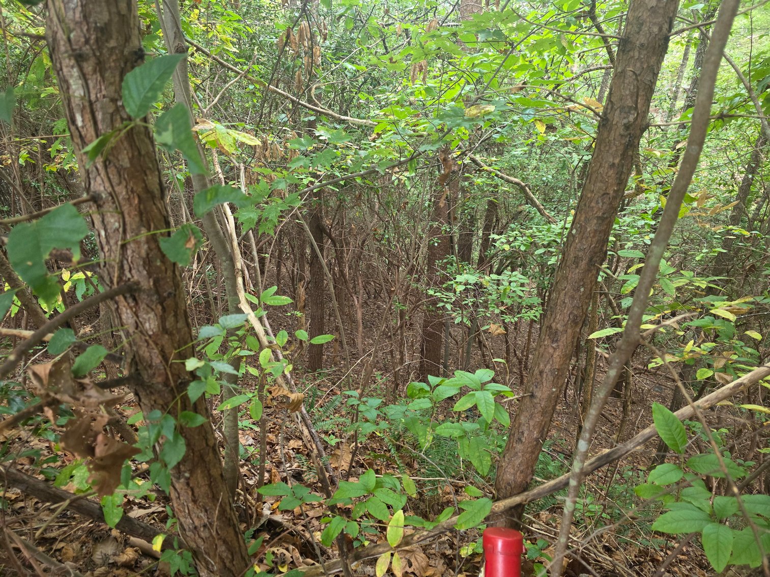 Image for 2 +/- Acre Lot in Innsbruck Golf Resort