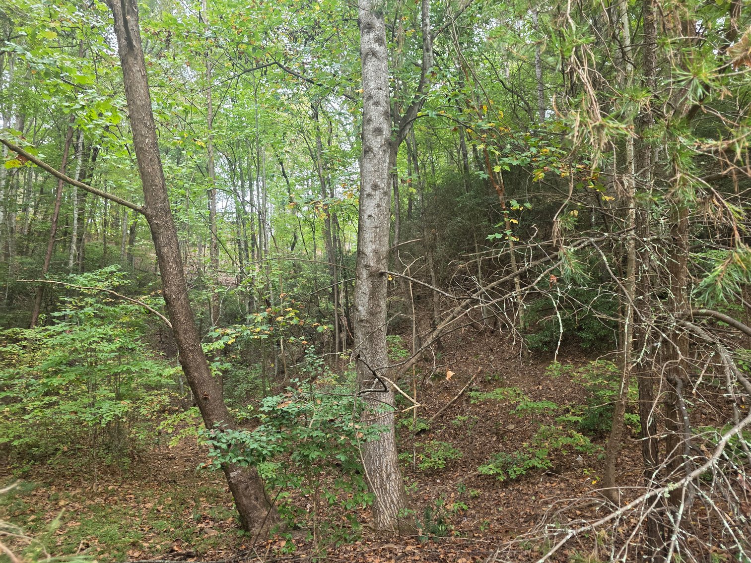 Image for 2 +/- Acre Lot in Innsbruck Golf Resort