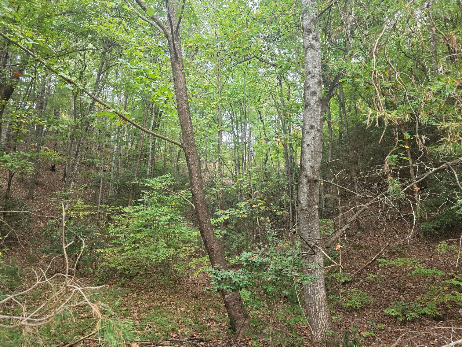 Image for 2 +/- Acre Lot in Innsbruck Golf Resort