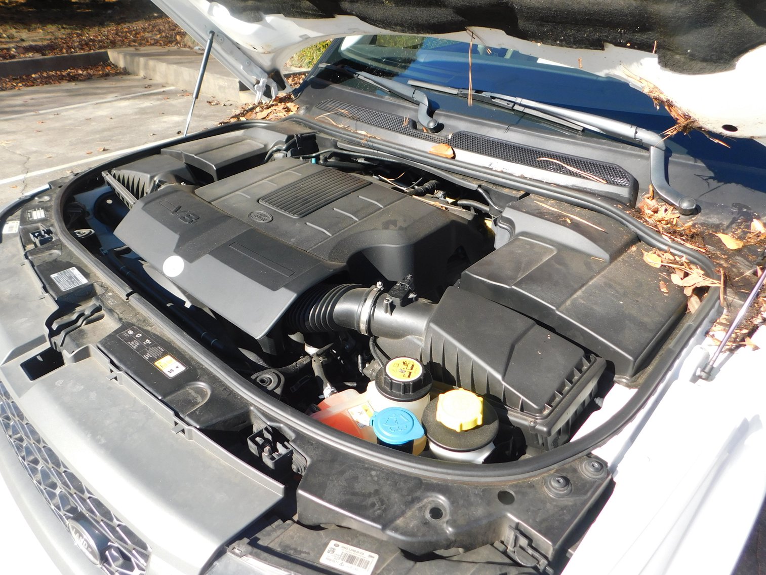 Image for Aston Martin, Escalade and Range Rovers!