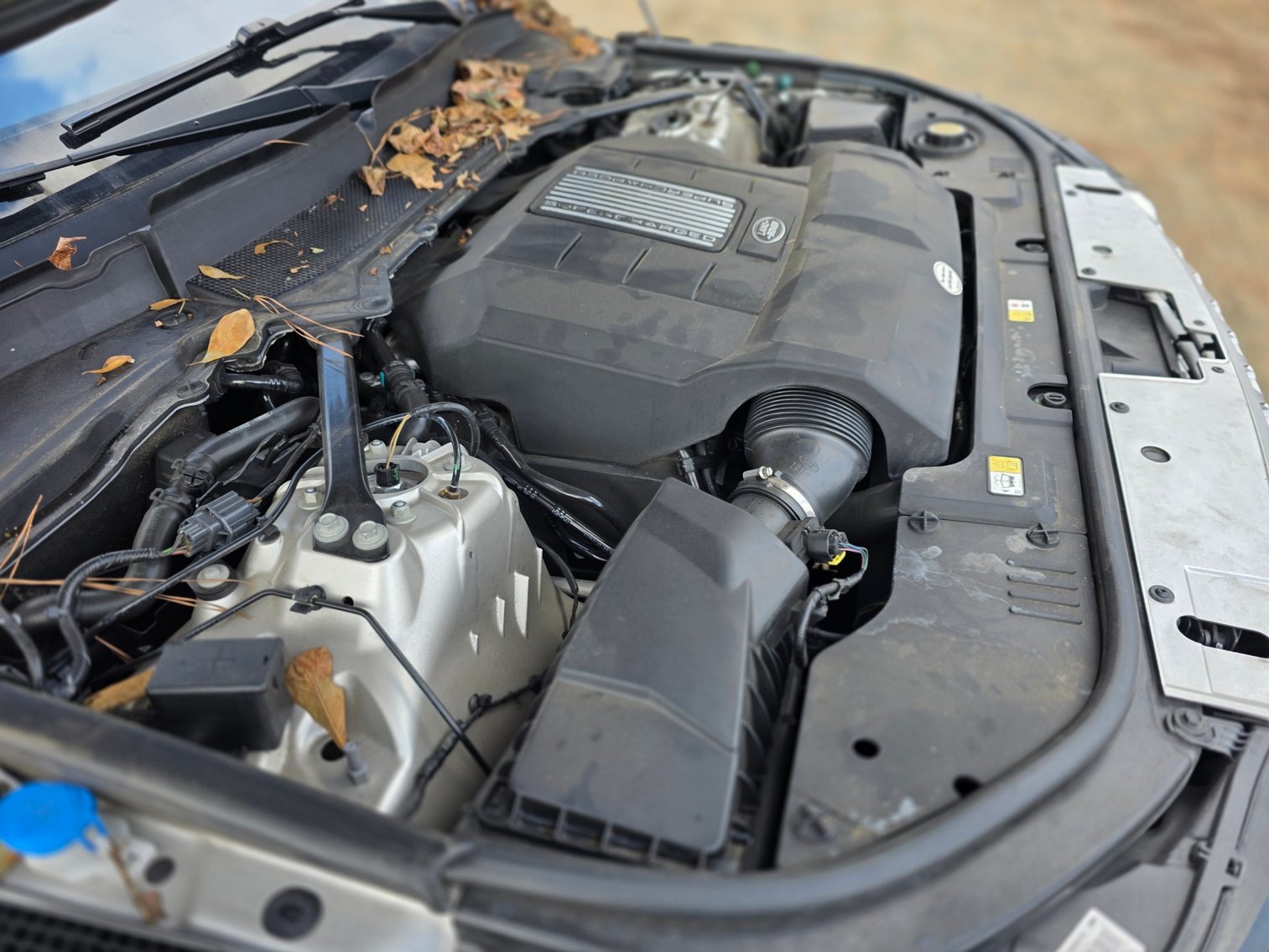 Image for Aston Martin, Escalade and Range Rovers!