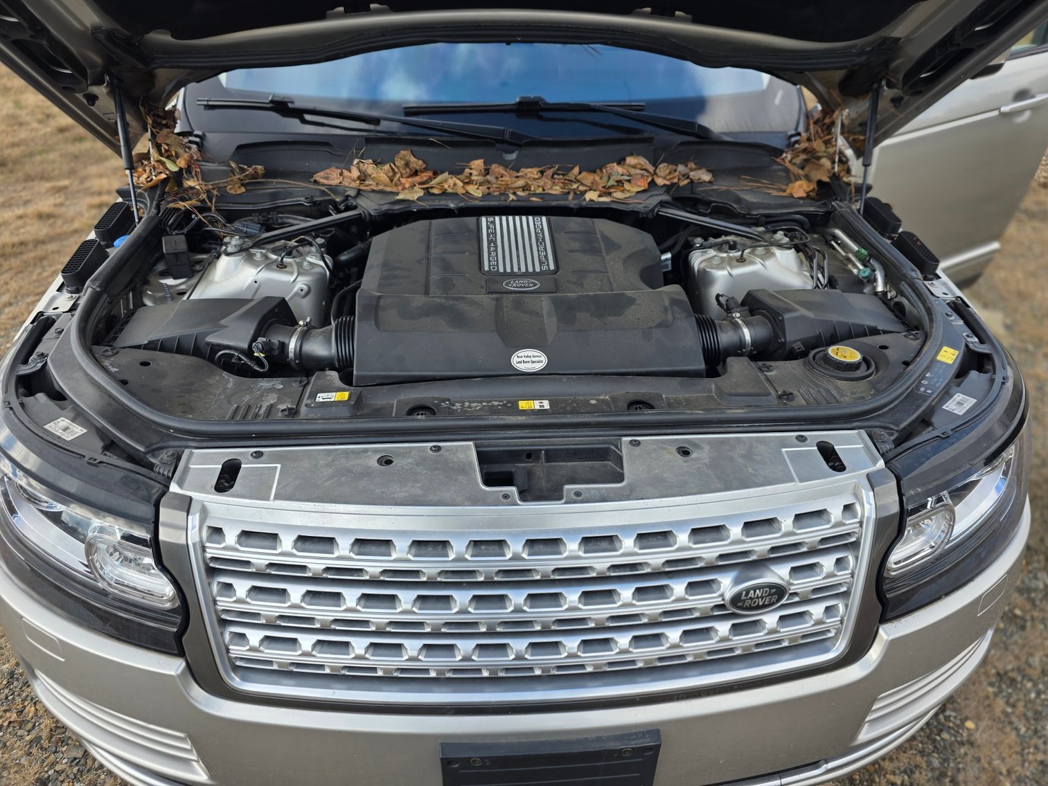 Image for Aston Martin, Escalade and Range Rovers!