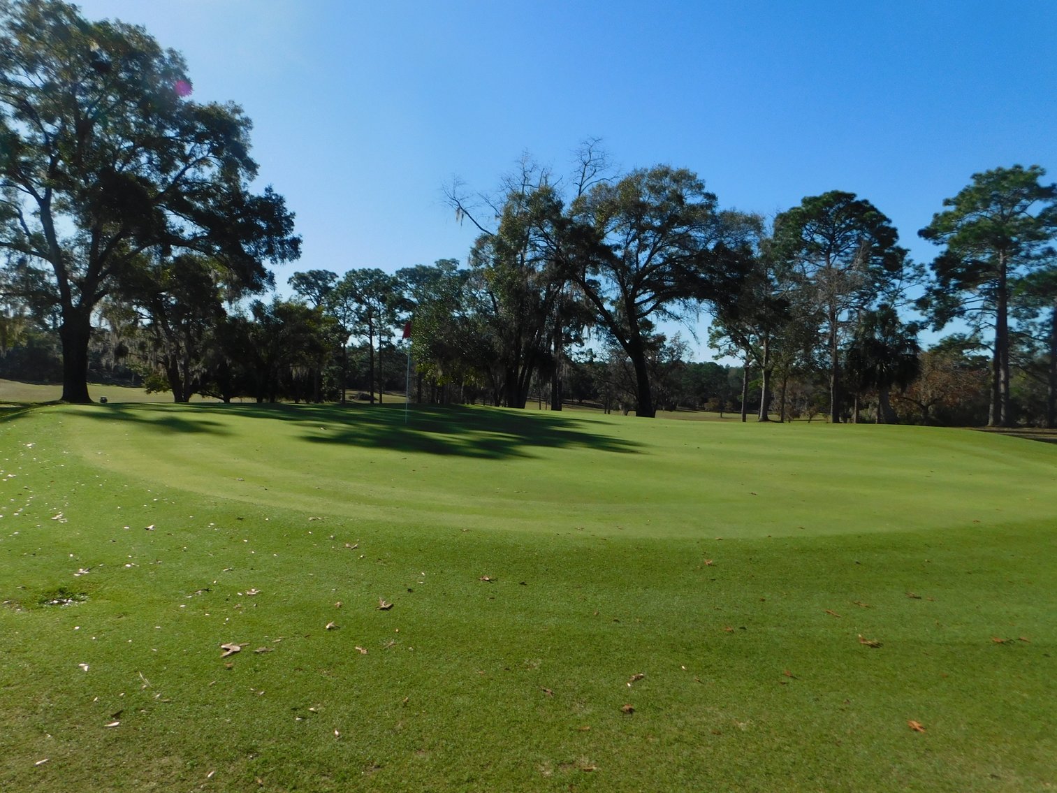 Image for Nine Hole Golf Course on 72+/- Acres in Marion County, FL