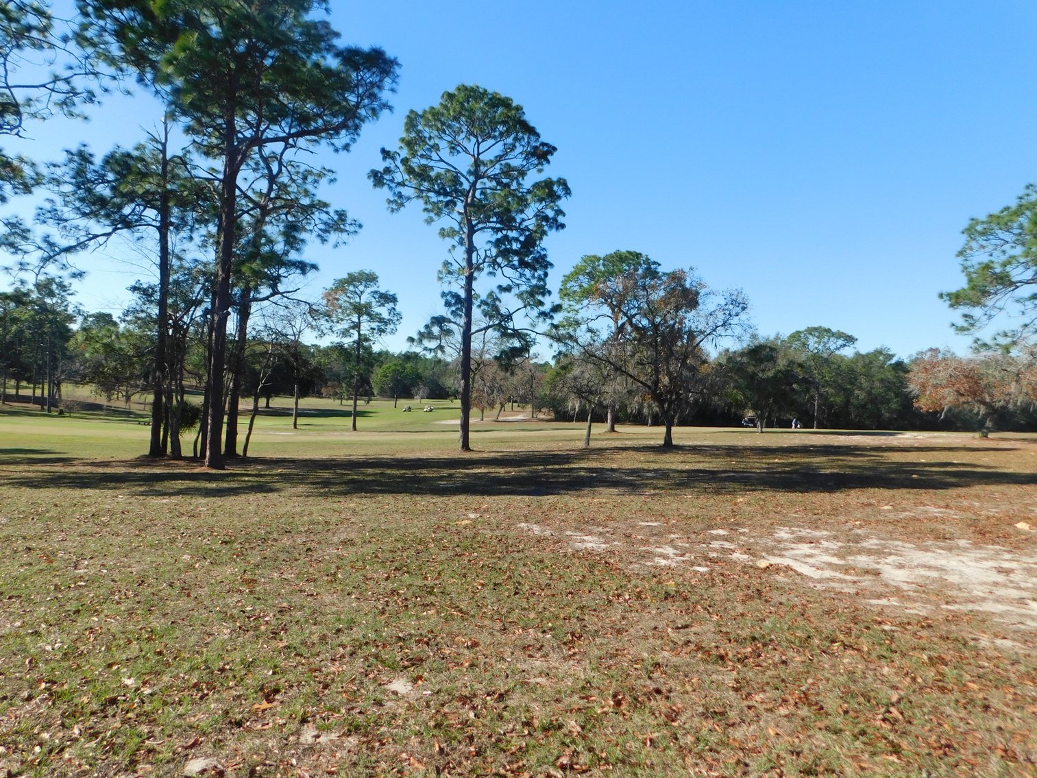 Image for Nine Hole Golf Course on 72+/- Acres in Marion County, FL