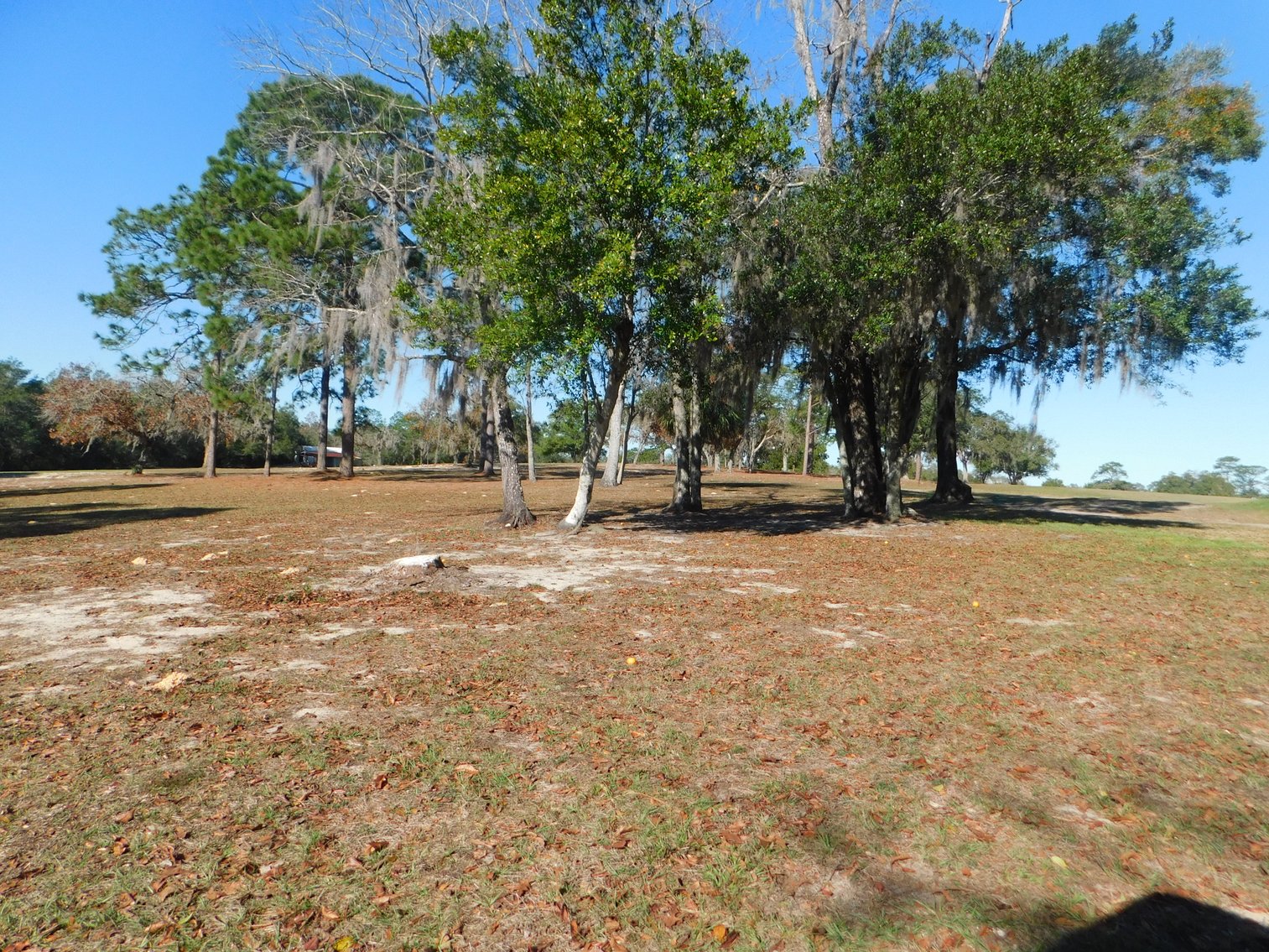 Image for Nine Hole Golf Course on 72+/- Acres in Marion County, FL