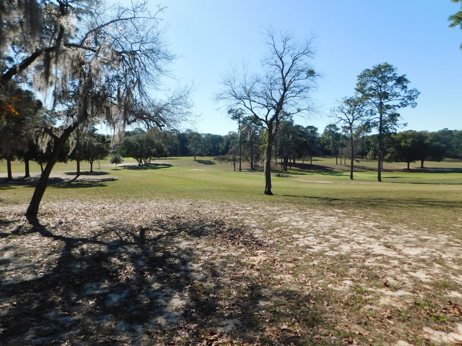Image for Nine Hole Golf Course on 72+/- Acres in Marion County, FL
