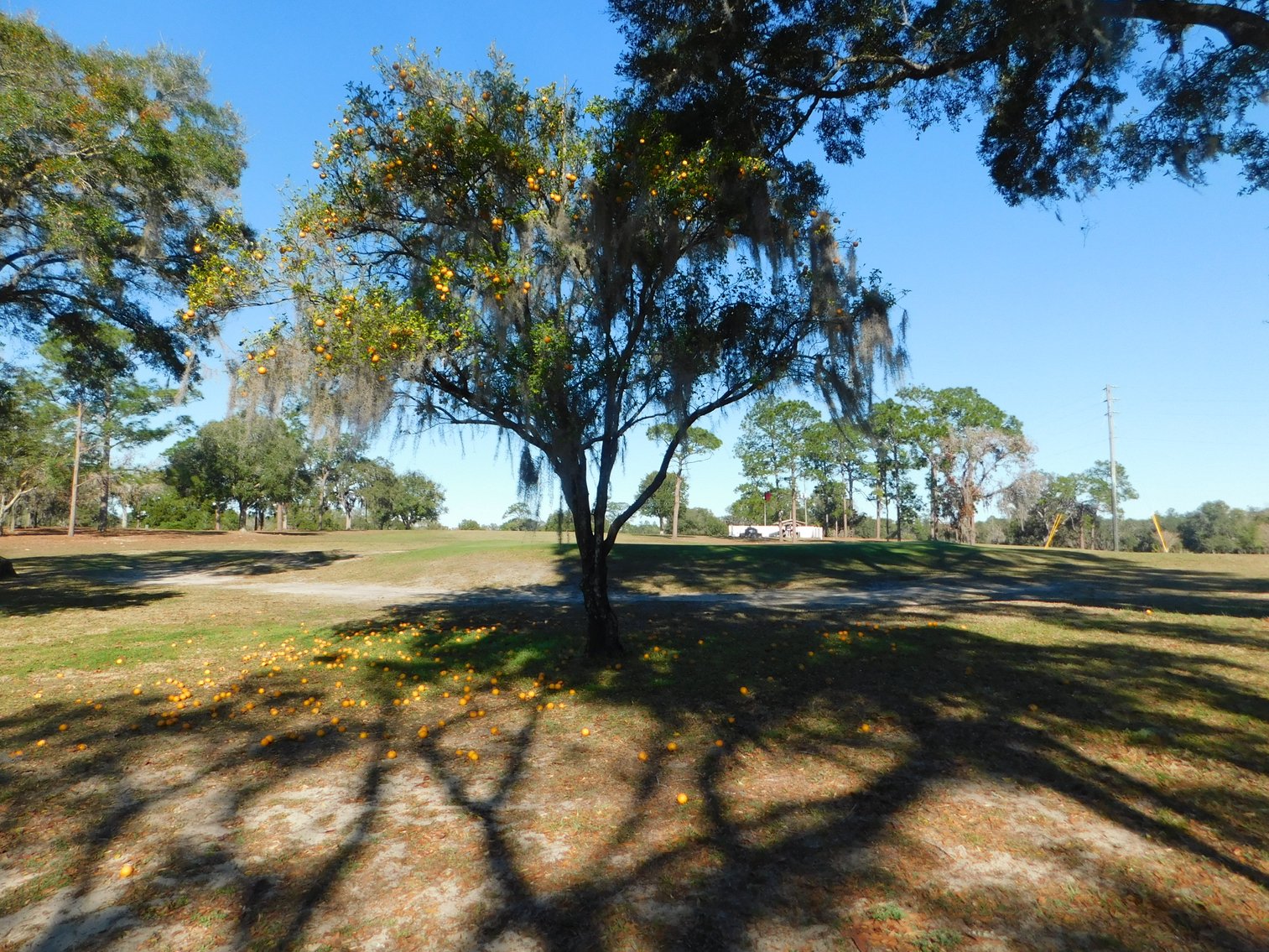 Image for Nine Hole Golf Course on 72+/- Acres in Marion County, FL