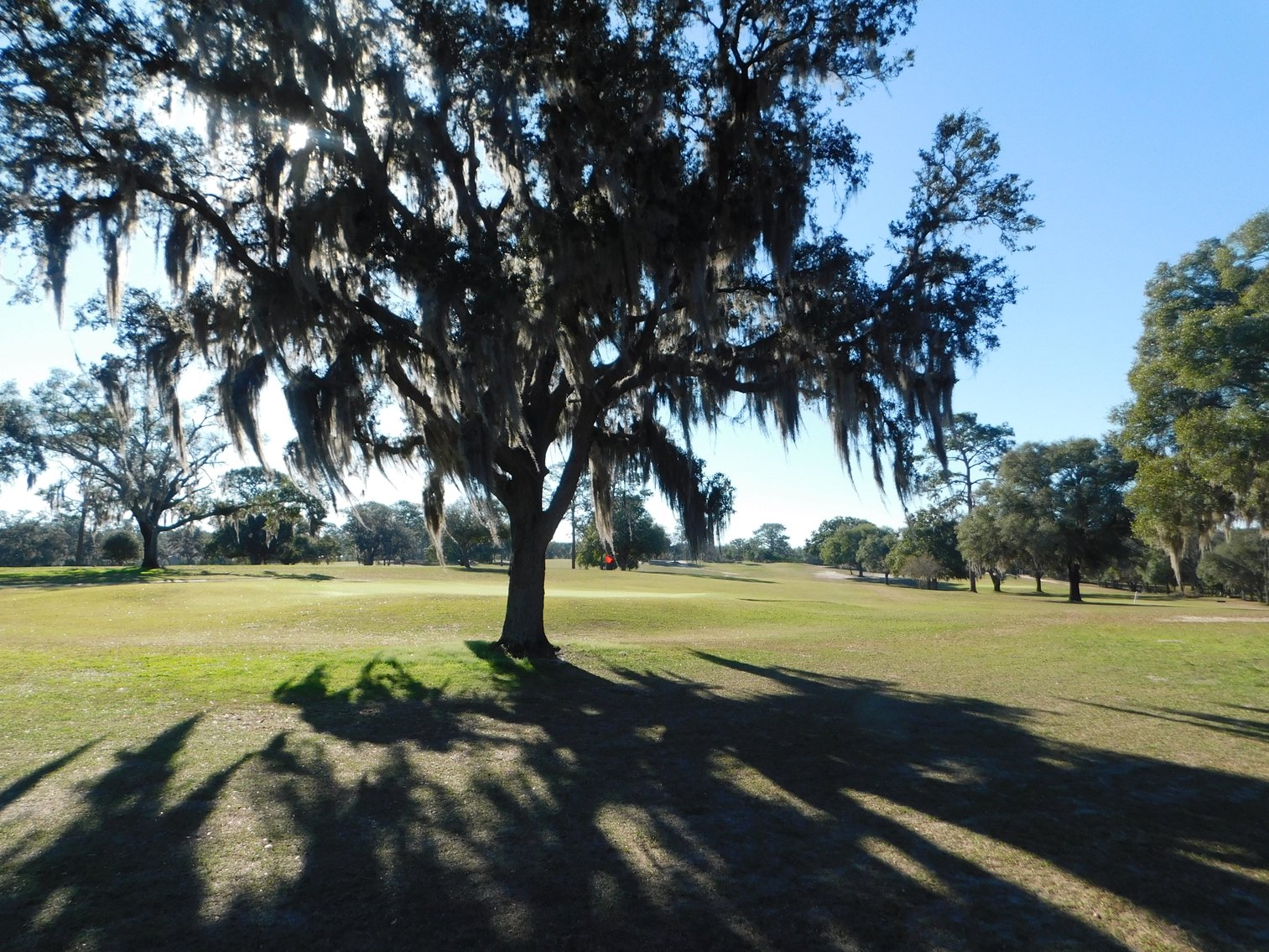 Image for Nine Hole Golf Course on 72+/- Acres in Marion County, FL
