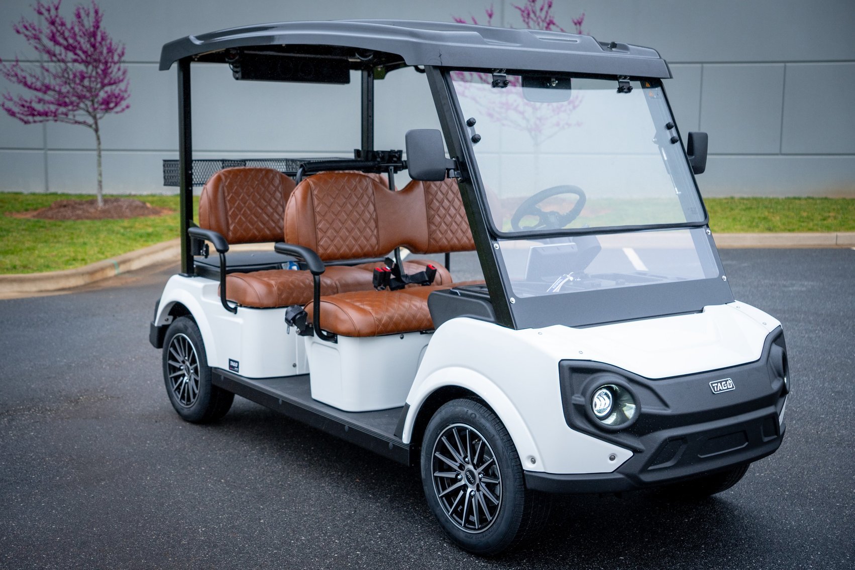 Image for TAGO Islander LSV to Benefit Arizona Children's Charities