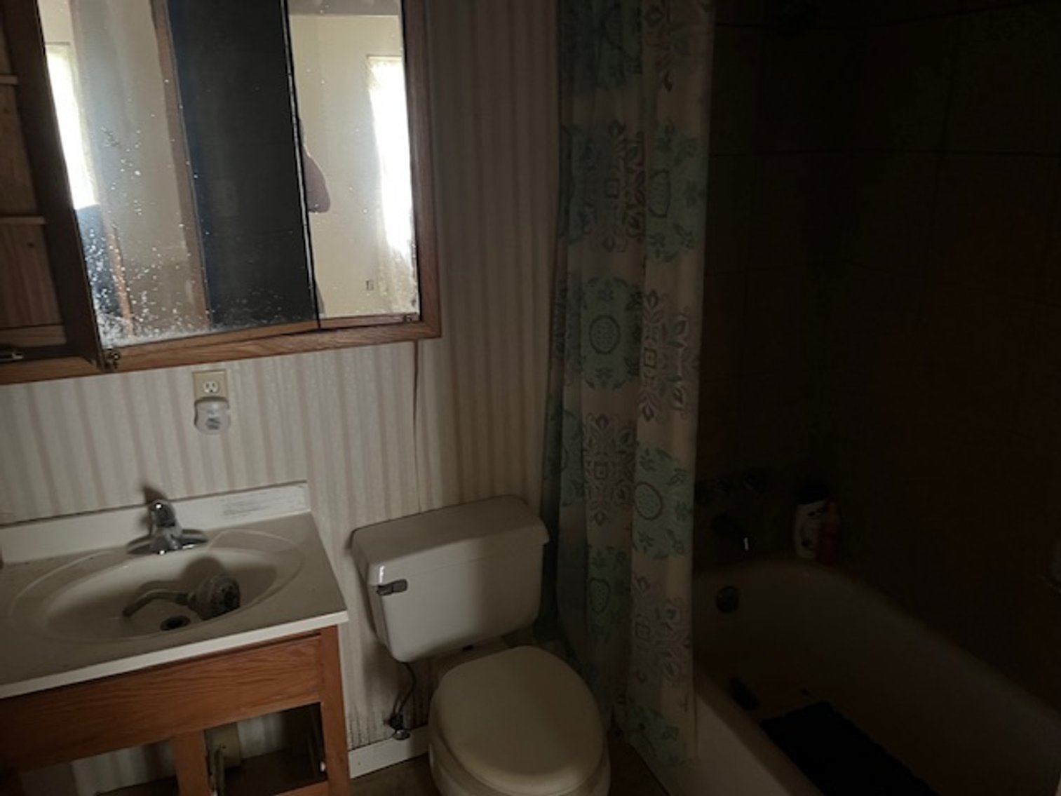 Image for Bankruptcy Real Estate Auction: 110 Roy Street, Williston, SC