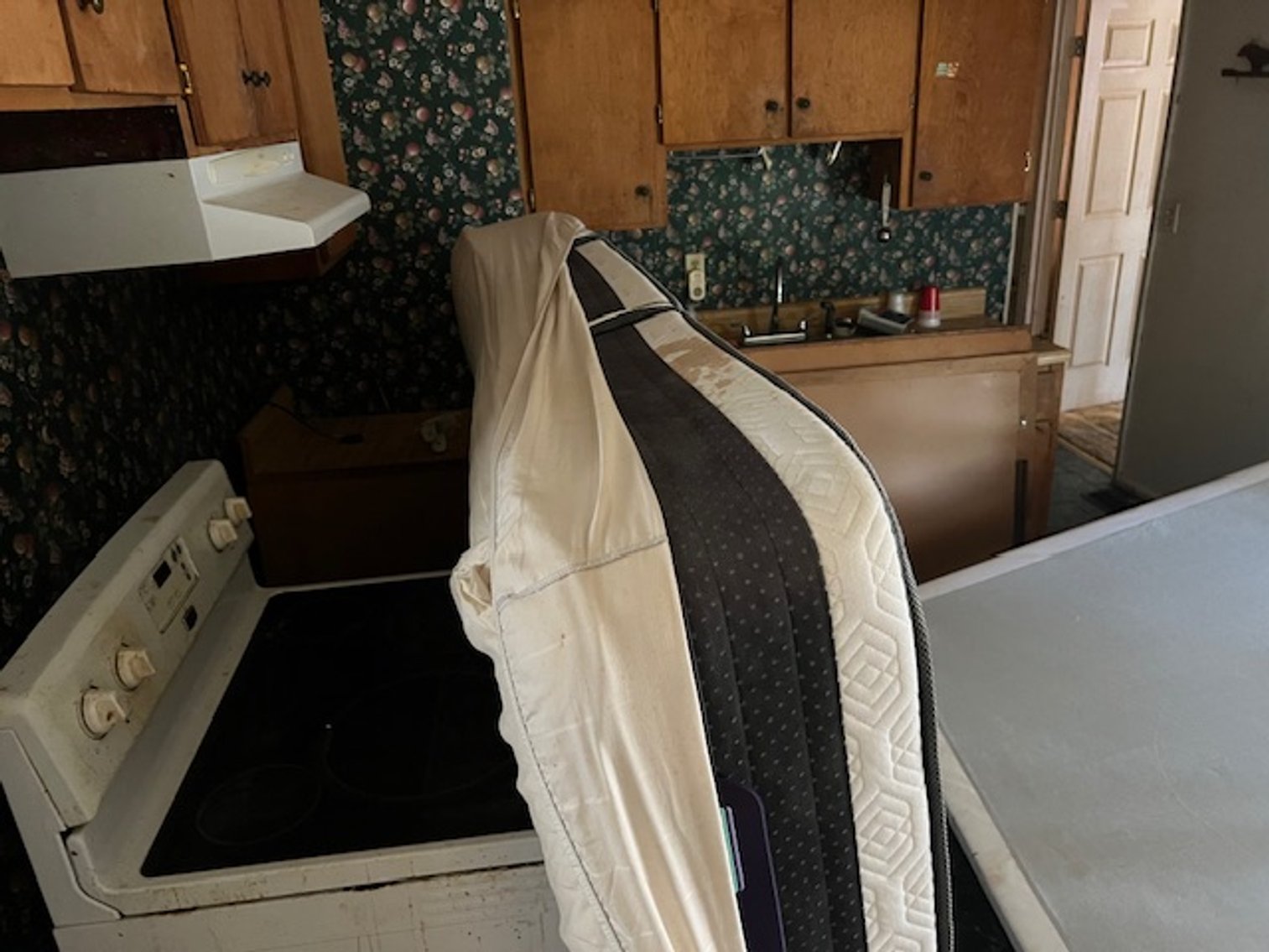 Image for Bankruptcy Real Estate Auction: 110 Roy Street, Williston, SC