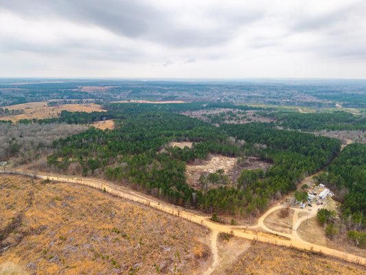 ONLINE ONLY NO RESERVE 26± ACRE LAND AUCTION – MALVERN, AR