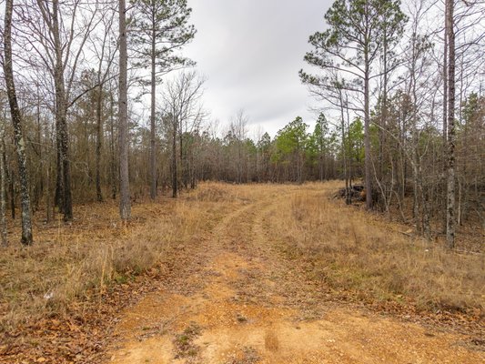 ONLINE ONLY NO RESERVE 26± ACRE LAND AUCTION – MALVERN, AR