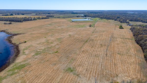 498± ACRE LAND AUCTION ALONG I-57 & HWY 367, PASTURE, PONDS & TIMBER – WHITE CO., SEARCY, AR