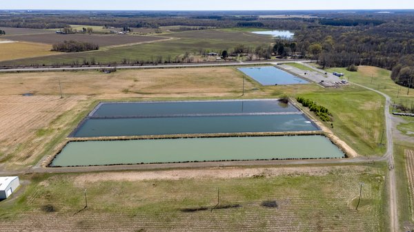 498± ACRE LAND AUCTION ALONG I-57 & HWY 367, PASTURE, PONDS & TIMBER – WHITE CO., SEARCY, AR