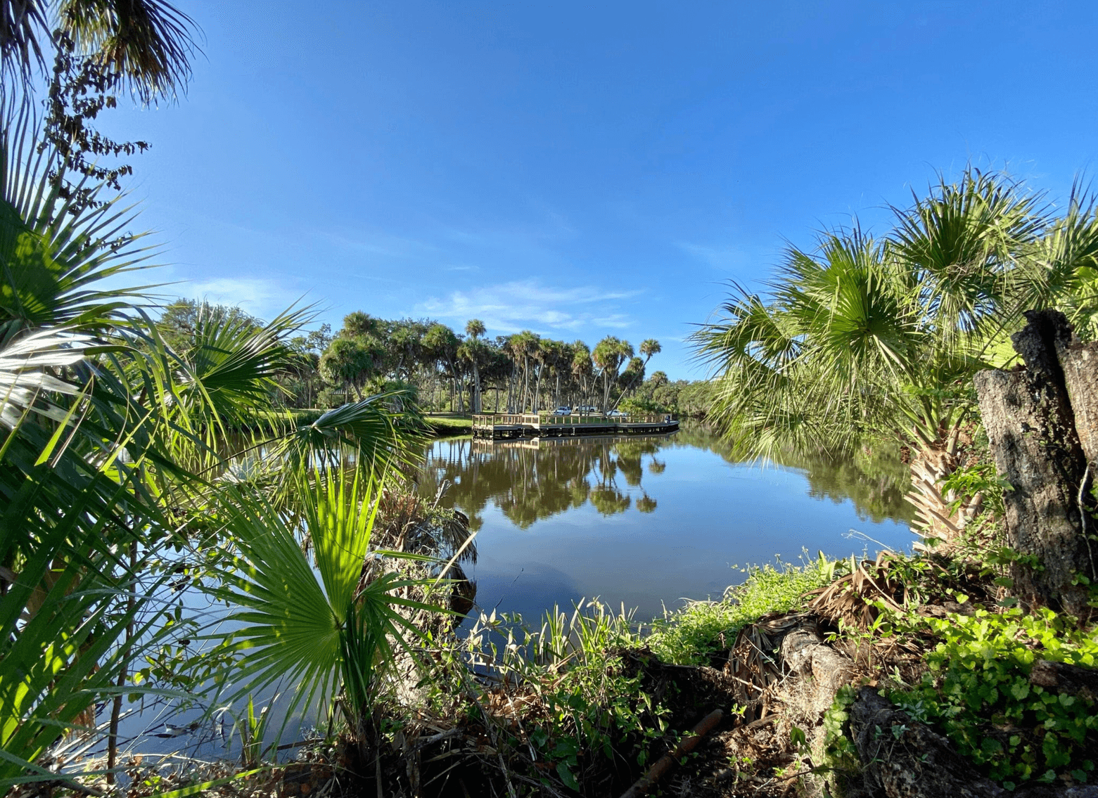 Image for WATERFRONT REAL ESTATE ON MIDWAY ROAD- FOR SALE ONLY AT AUCTION!
