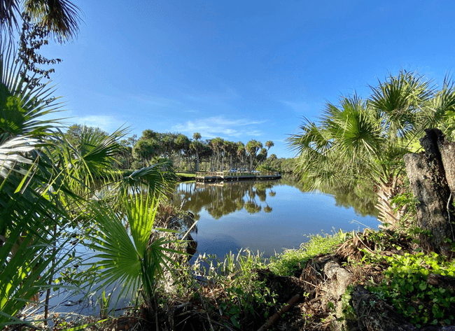Image for WATERFRONT REAL ESTATE ON MIDWAY ROAD- FOR SALE ONLY AT AUCTION!