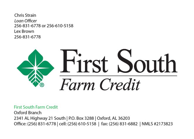 Image for Tallapoosa Riverfront Opportunity 9 Tracts ~ 6 with Water Frontage