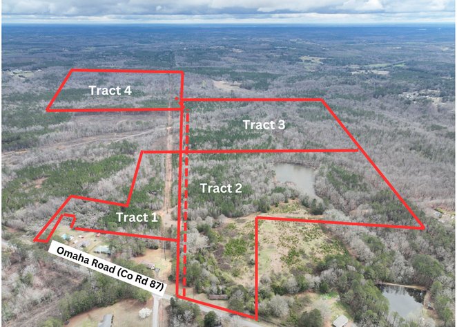 Image for Prime Land Auction - Randolph County, AL: 200± Acres divided in 4 Tracts on CR 87 | Two Commercial Lots on US 431 in Roanoke