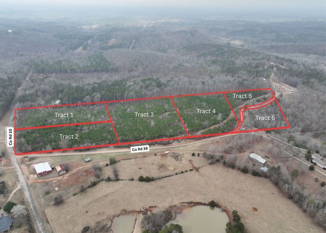 Image for Unrestricted Land Tracts in Cleburne County, Alabama