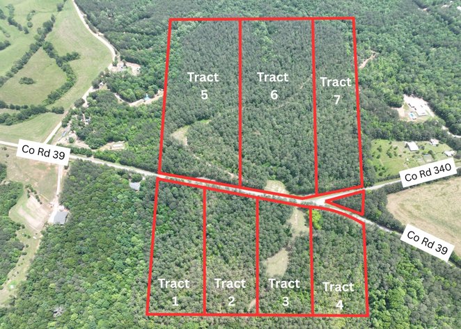 Image for 75+/- Acres in Woodland, Alabama - Offered in 7 Individual Tracts