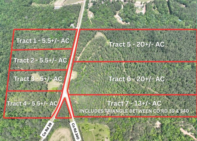 Image for 75+/- Acres in Woodland, Alabama - Offered in 7 Individual Tracts