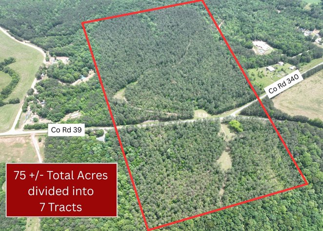 Image for 75+/- Acres in Woodland, Alabama - Offered in 7 Individual Tracts