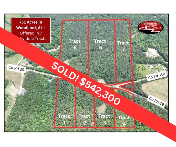 Image for 75+/- Acres in Woodland, Alabama - Offered in 7 Individual Tracts